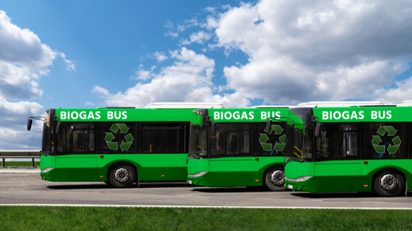 Descubra com Fernando Trabach Filho como os biocombustíveis podem impulsionar um transporte público mais limpo e eficiente.