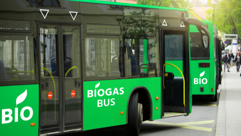 Fernando Trabach Filho analisa se o uso de biocombustíveis no transporte público pode realmente representar uma solução sustentável para as cidades.