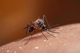 Queda de 75% nos casos de dengue no Brasil em 2026: avanço real na saúde pública ou sinal de alerta silencioso?